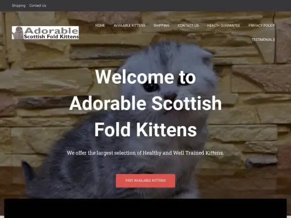 Screenshot of