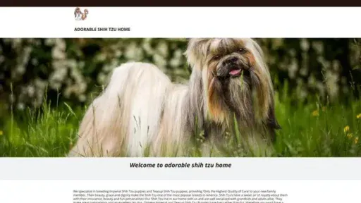 Screenshot of