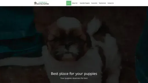 Screenshot of