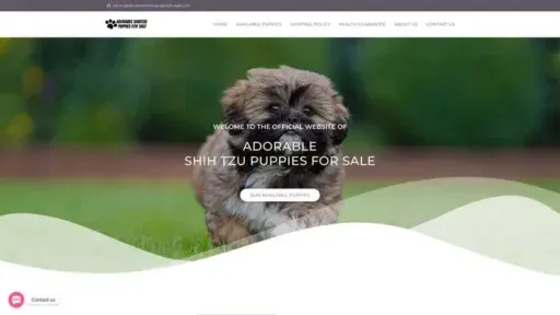 Screenshot of