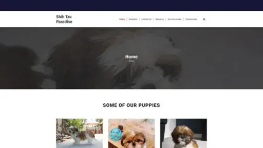 Screenshot of