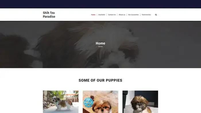 Screenshot of