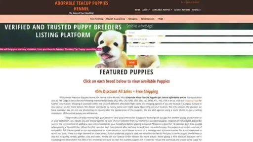 Screenshot of