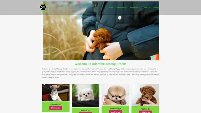 Screenshot of