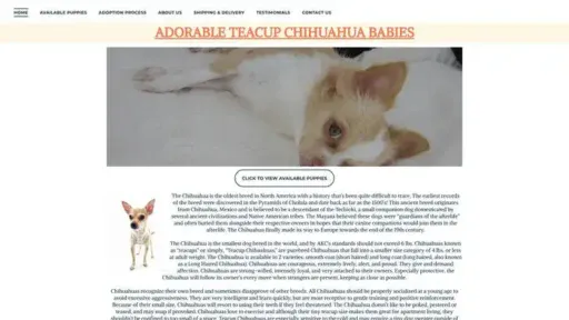 Screenshot of