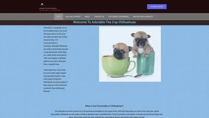 Screenshot of