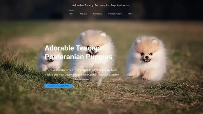 Screenshot of