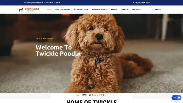 Screenshot of