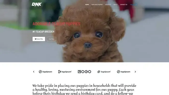 Screenshot of
