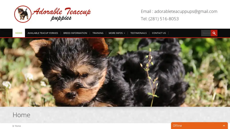 Screenshot of