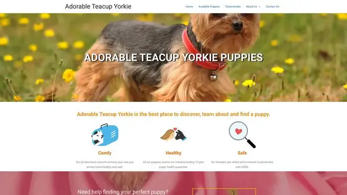 Screenshot of