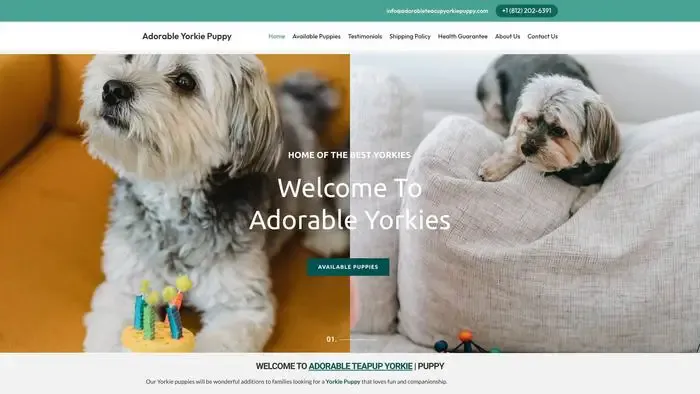 Screenshot of