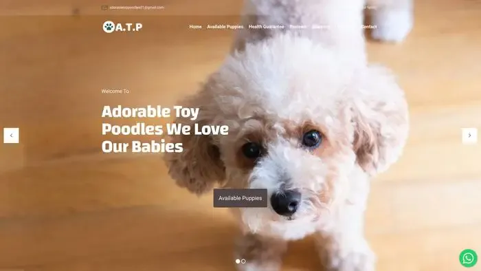 Screenshot of