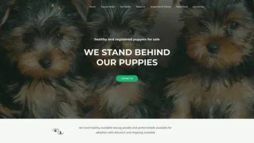 Screenshot of||