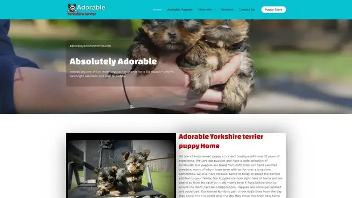 Screenshot of