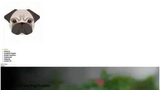 Screenshot of