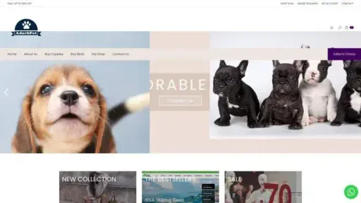 Screenshot of