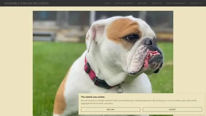 Screenshot of
