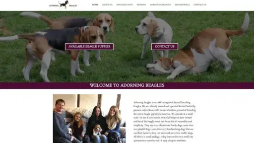 Screenshot of