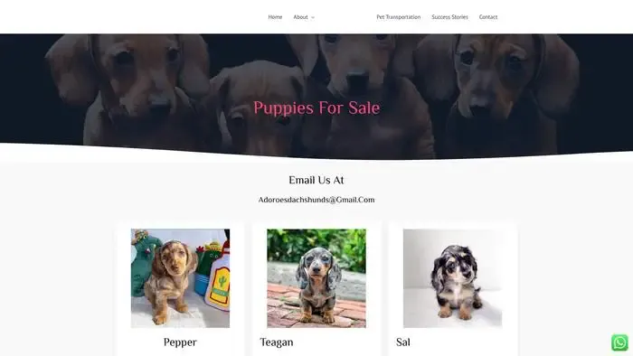Screenshot of