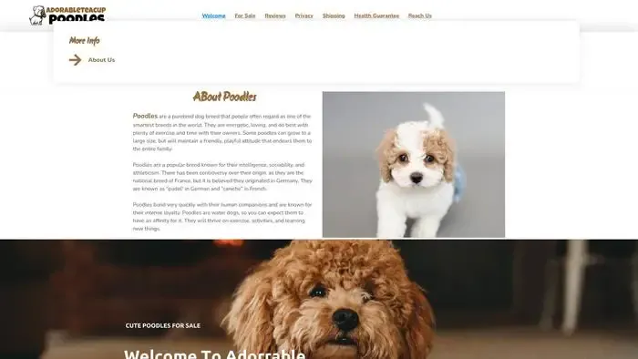 Screenshot of