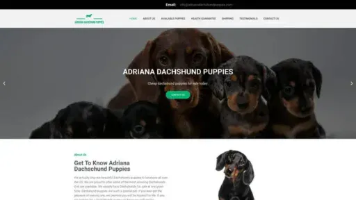 Screenshot of