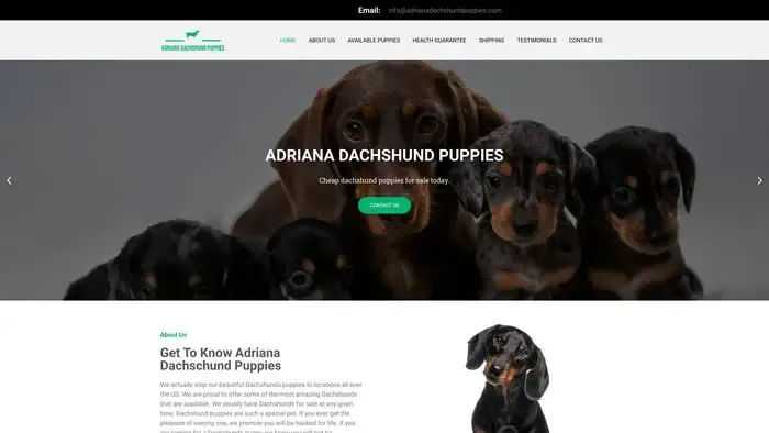 Screenshot of