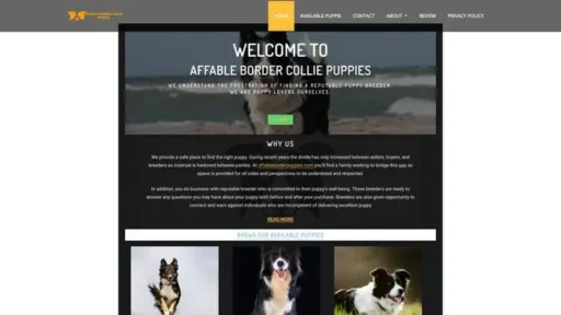 Screenshot of