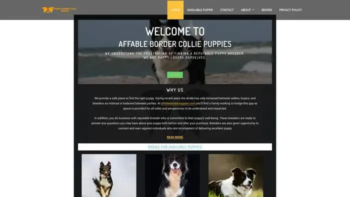 Screenshot of