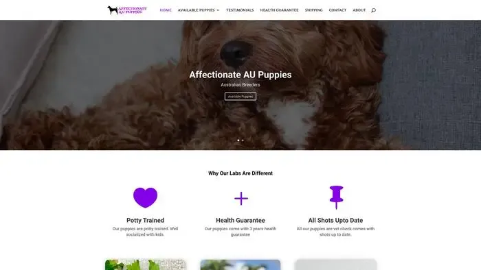 Screenshot of