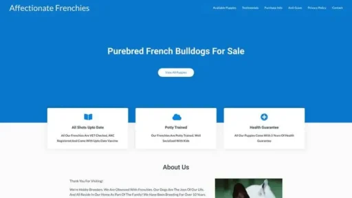 Screenshot of