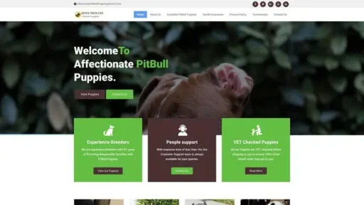 Screenshot of