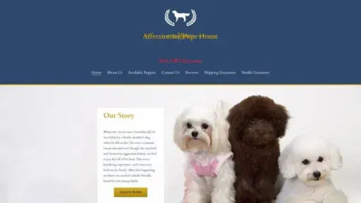 Screenshot of