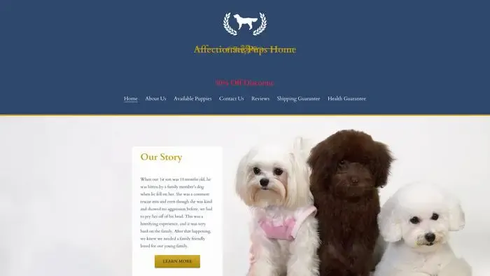 Screenshot of