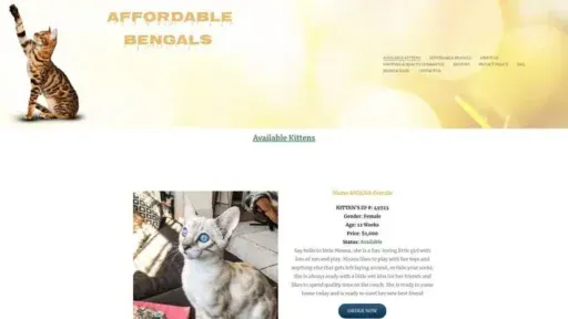 Screenshot of