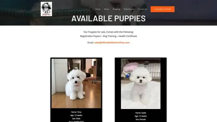 Screenshot of