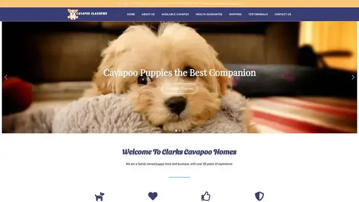 Screenshot of