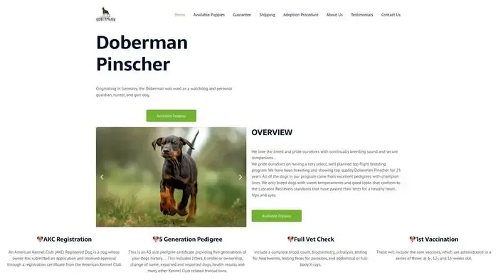 Screenshot of