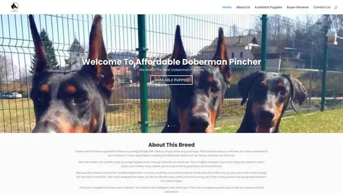 Screenshot of