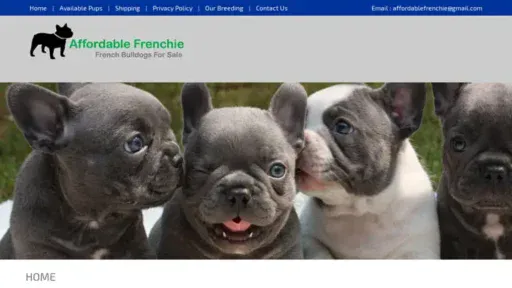 Screenshot of