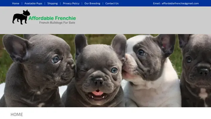 Screenshot of