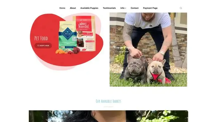 Screenshot of