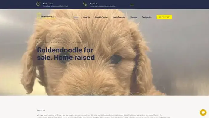 Screenshot of