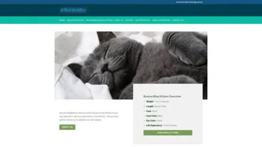 Screenshot of