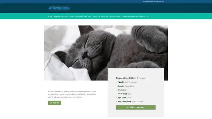 Screenshot of
