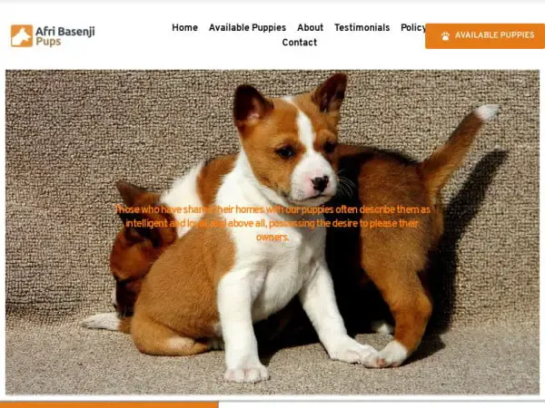 Screenshot of
