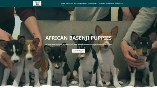 Screenshot of