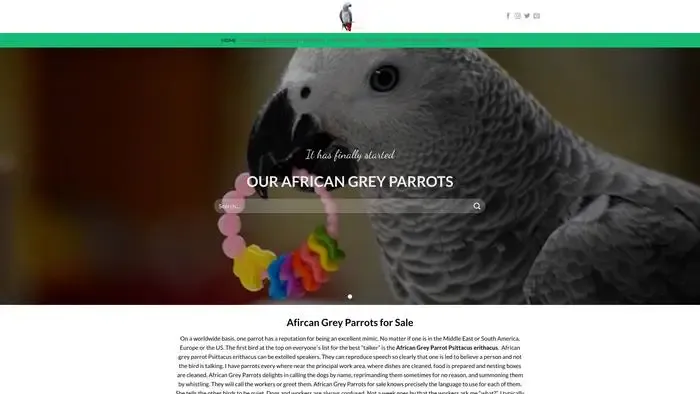 Screenshot of
