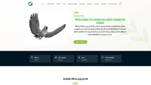 Screenshot of