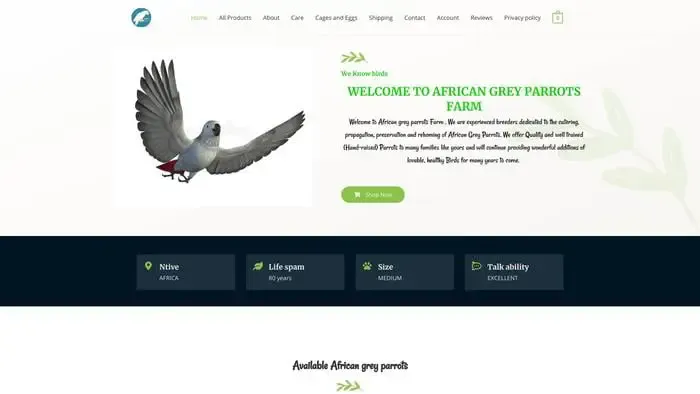 Screenshot of